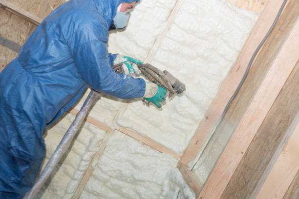 Best Soundproof Insulation  in St Clair, MI